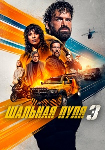 Шальная пуля 3 (2025) бесплатно