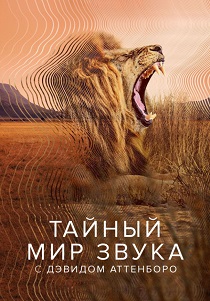 Тайный мир звуков с Дэвидом Аттенборо (2024)